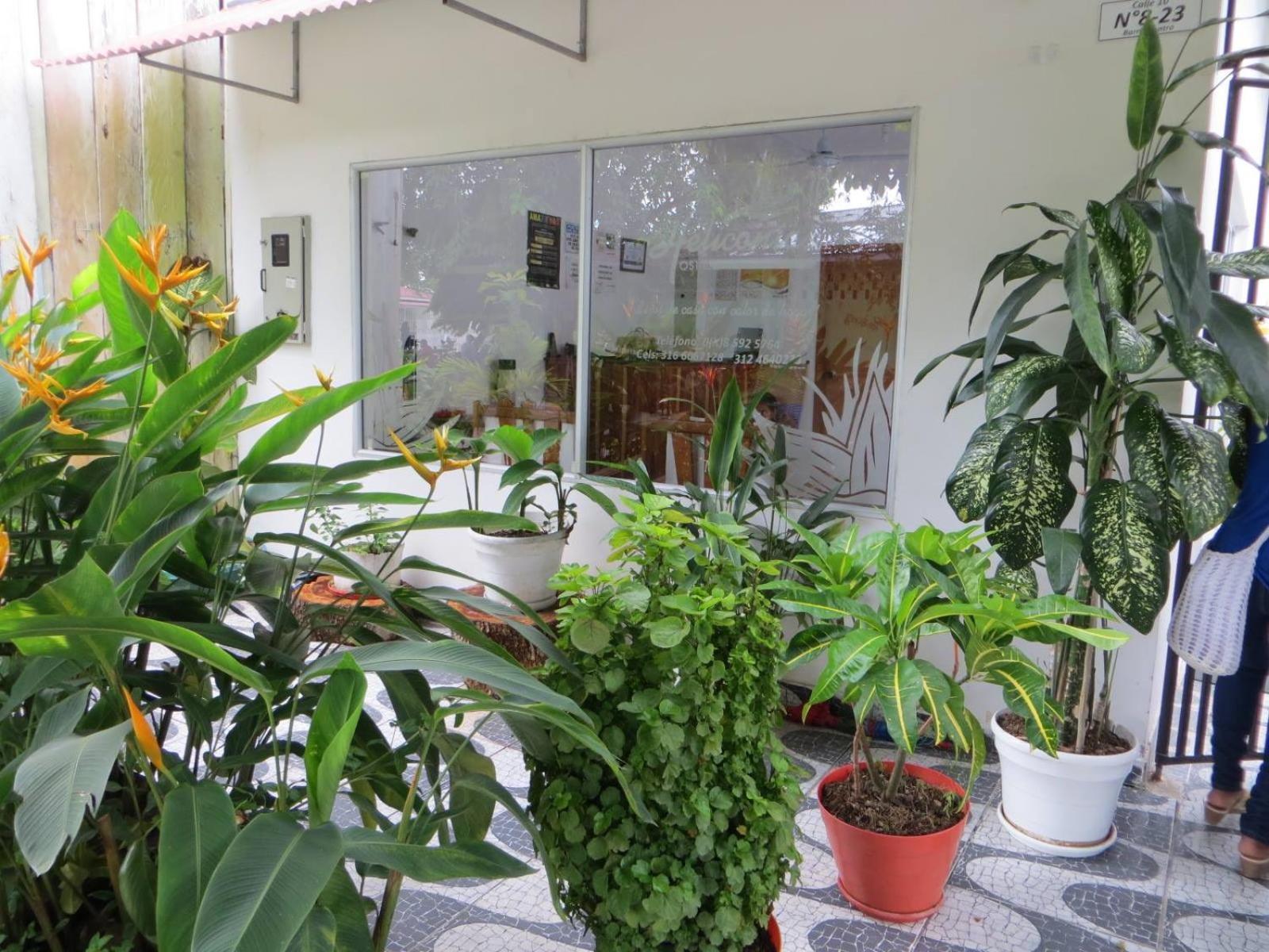 Hotel Heliconias Leticia Buitenkant foto